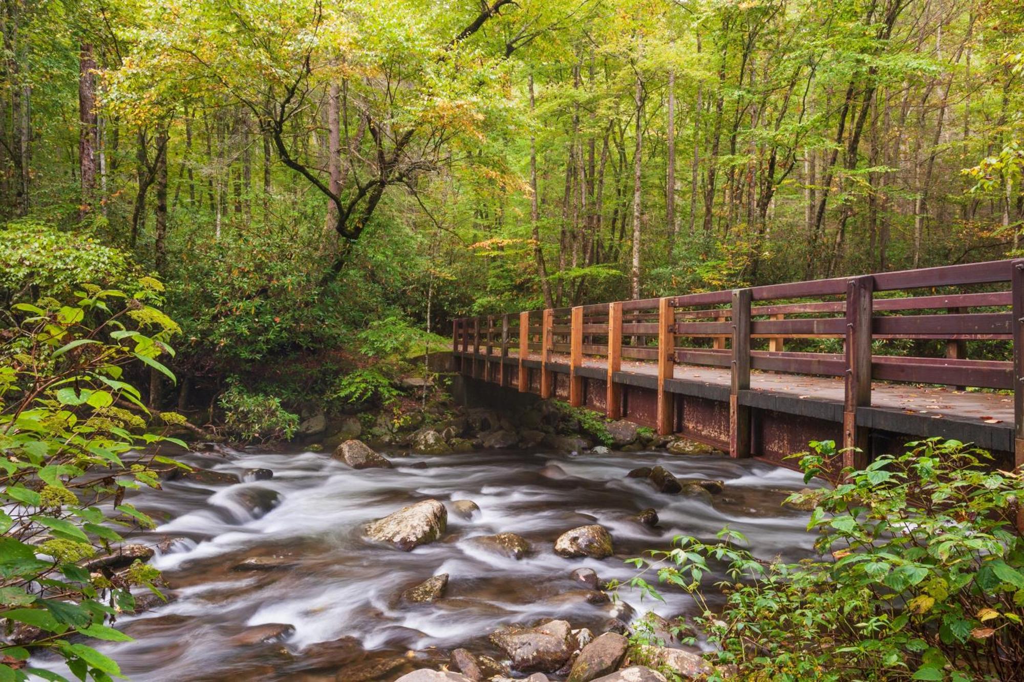 Highland Dream, Hot Tub, 1089 Free Tickets Each Paid Day, Dollywood And More Сивиървил Екстериор снимка